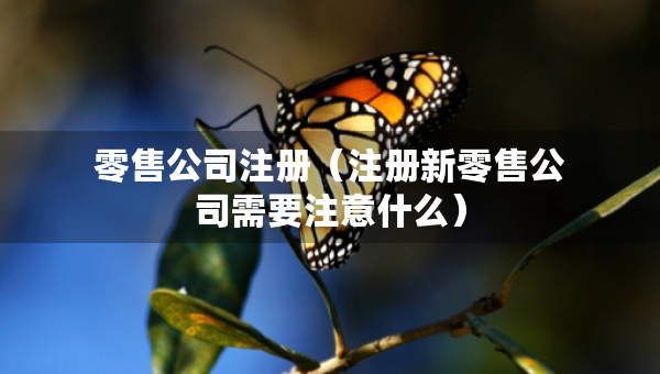 零售公司注册（注册新零售公司需要注意什么）