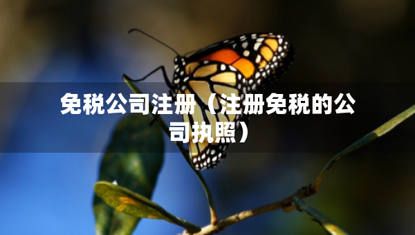 免税公司注册（注册免税的公司执照）