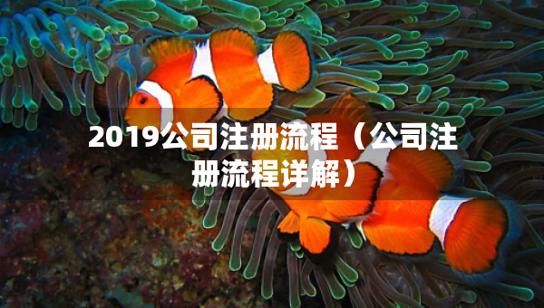 2019公司注册流程（公司注册流程详解）