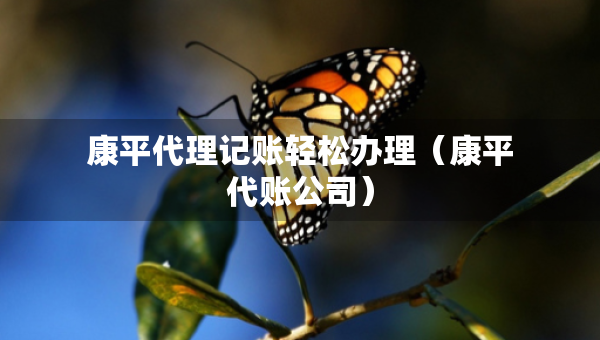 康平代理记账轻松办理（康平代账公司）