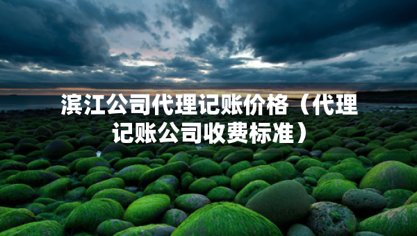 滨江公司代理记账价格（代理记账公司收费标准）