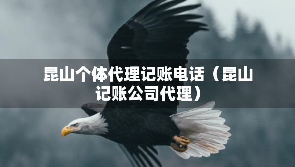 昆山个体代理记账电话（昆山记账公司代理）