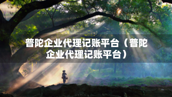 普陀企业代理记账平台（普陀企业代理记账平台）