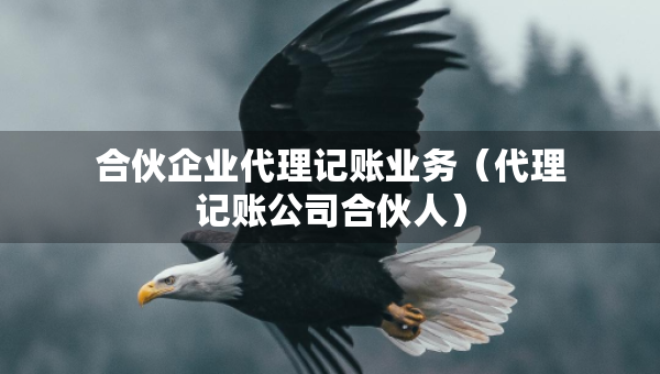 合伙企业代理记账业务（代理记账公司合伙人）