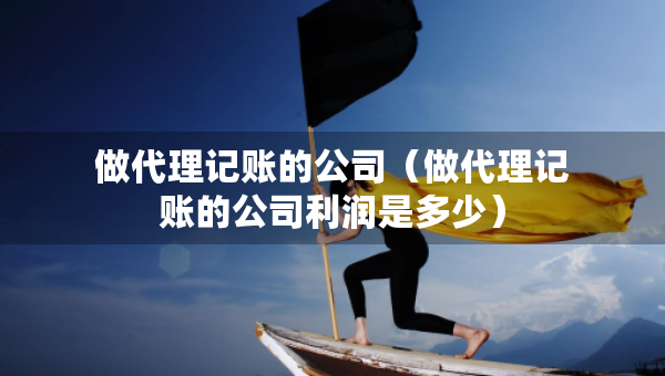 做代理记账的公司（做代理记账的公司利润是多少）