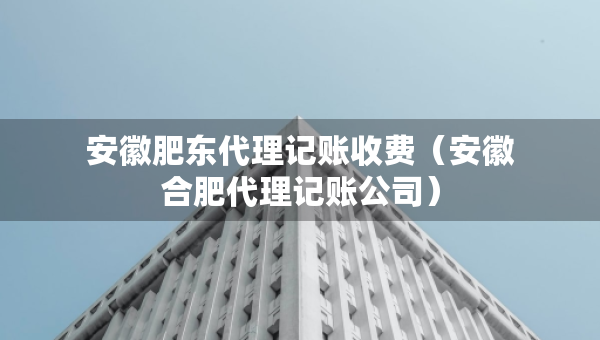 安徽肥东代理记账收费（安徽合肥代理记账公司）