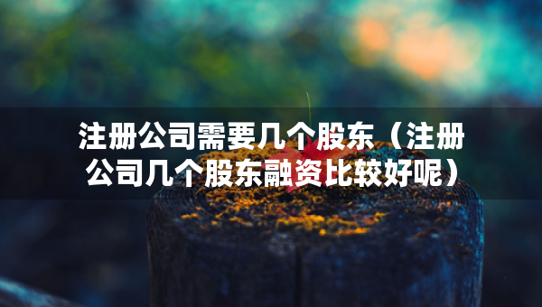 注册公司需要几个股东（注册公司几个股东融资比较好呢）