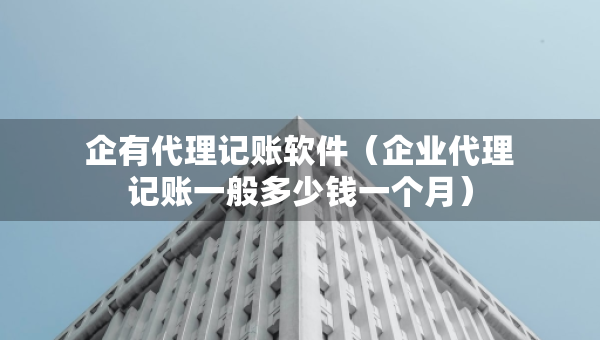 企有代理记账软件（企业代理记账一般多少钱一个月）