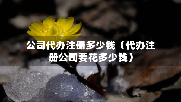 公司代办注册多少钱（代办注册公司要花多少钱）