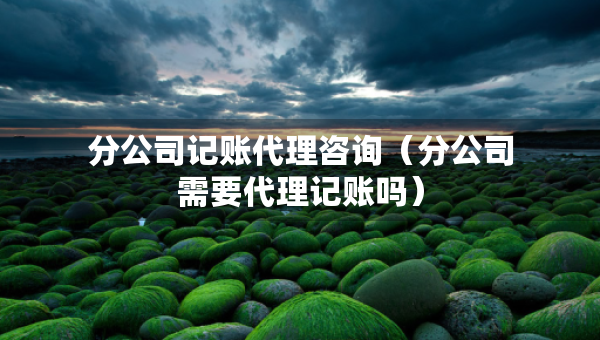 分公司记账代理咨询（分公司需要代理记账吗）