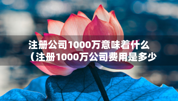 注册公司1000万意味着什么（注册1000万公司费用是多少）