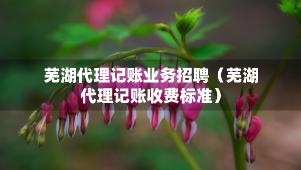 芜湖代理记账业务招聘（芜湖代理记账收费标准）