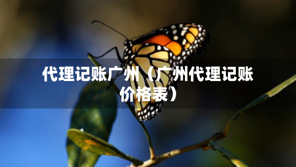 代理记账广州（广州代理记账价格表）