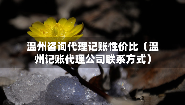 温州咨询代理记账性价比（温州记账代理公司联系方式）