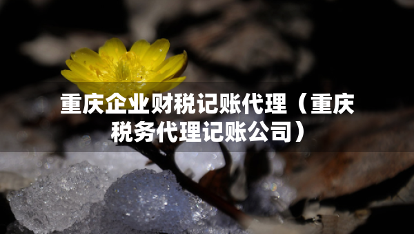 重庆企业财税记账代理（重庆税务代理记账公司）