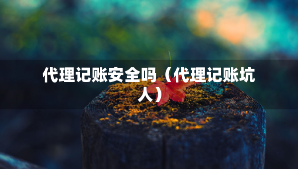 代理记账安全吗（代理记账坑人）