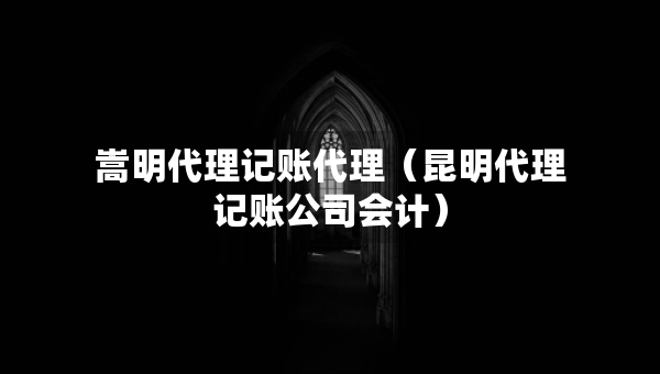 嵩明代理记账代理（昆明代理记账公司会计）