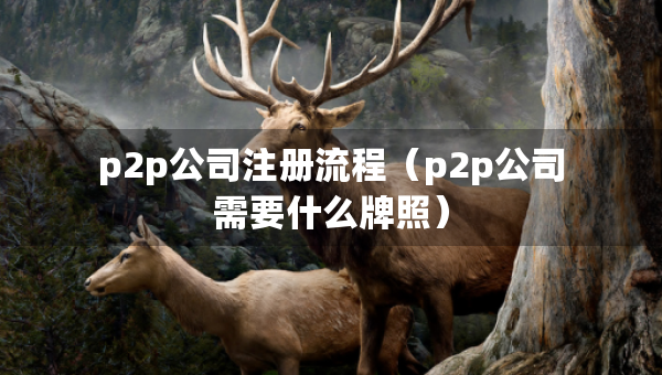 p2p公司注册流程（p2p公司需要什么牌照）