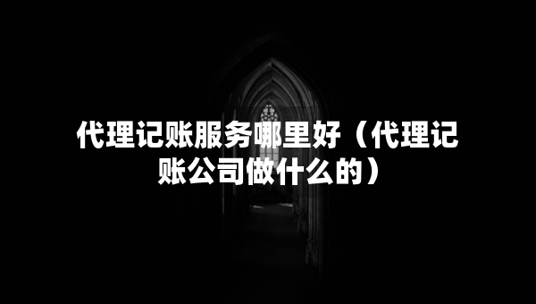 代理记账服务哪里好（代理记账公司做什么的）