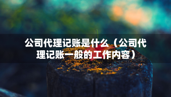 公司代理记账是什么（公司代理记账一般的工作内容）