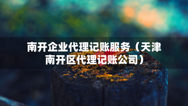 南开企业代理记账服务（天津南开区代理记账公司）