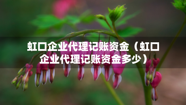 虹口企业代理记账资金（虹口企业代理记账资金多少）