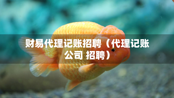 财易代理记账招聘（代理记账公司 招聘）