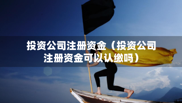 投资公司注册资金（投资公司注册资金可以认缴吗）