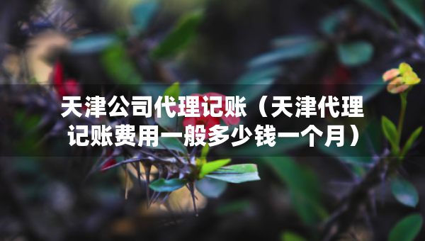 天津公司代理记账（天津代理记账费用一般多少钱一个月）