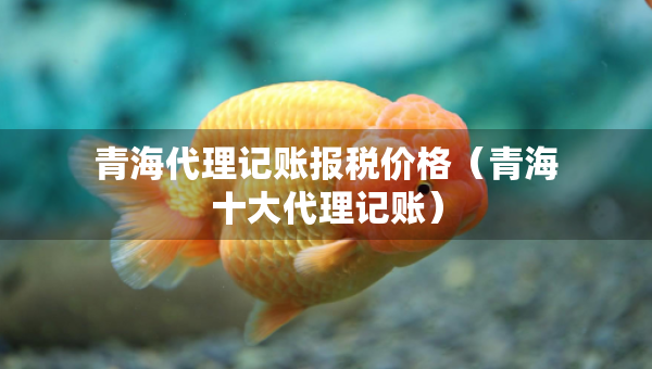 青海代理记账报税价格（青海十大代理记账）