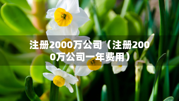 注册2000万公司（注册2000万公司一年费用）