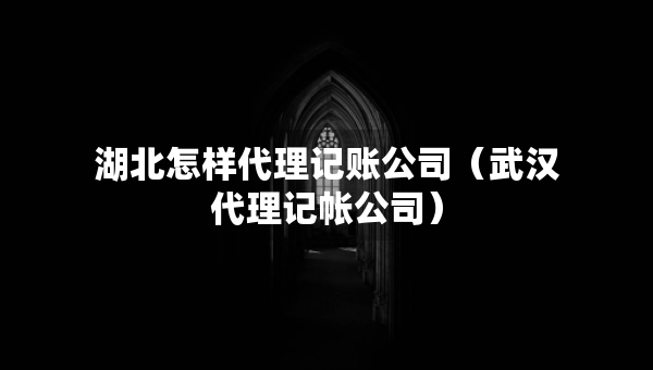 湖北怎样代理记账公司（武汉代理记帐公司）