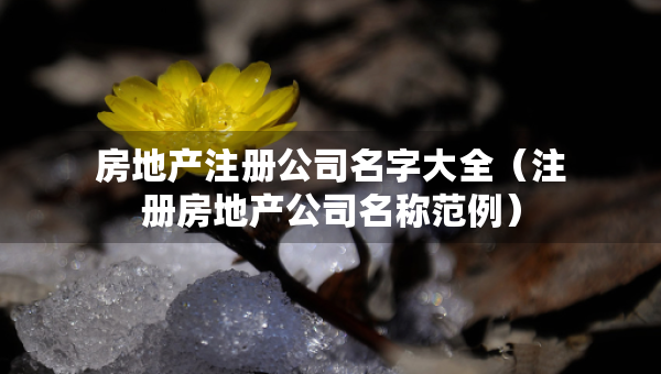 房地产注册公司名字大全（注册房地产公司名称范例）