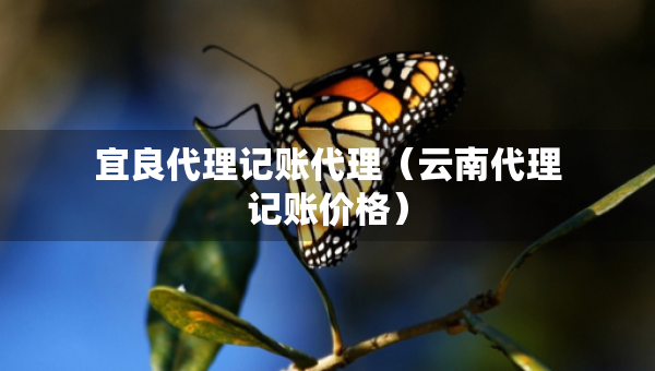 宜良代理记账代理（云南代理记账价格）