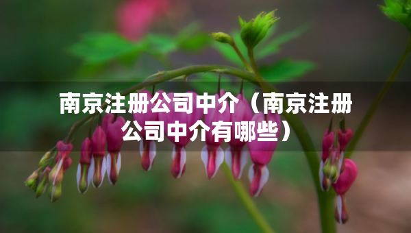 南京注册公司中介（南京注册公司中介有哪些）