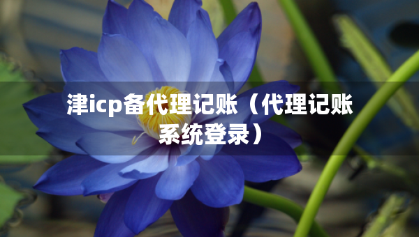 津icp备代理记账（代理记账系统登录）