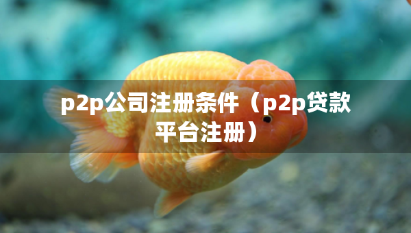 p2p公司注册条件（p2p贷款平台注册）