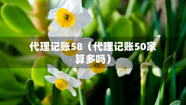 代理记账58（代理记账50家算多吗）