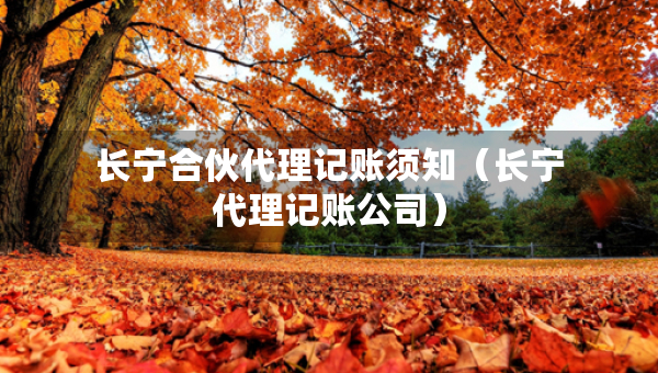 长宁合伙代理记账须知（长宁代理记账公司）