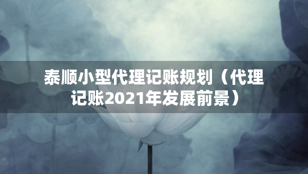 泰顺小型代理记账规划（代理记账2021年发展前景）