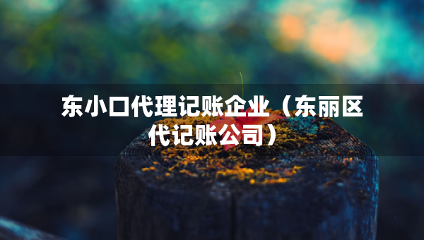 东小口代理记账企业（东丽区代记账公司）