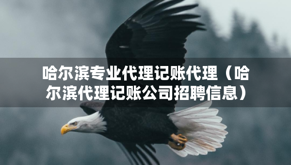 哈尔滨专业代理记账代理（哈尔滨代理记账公司招聘信息）