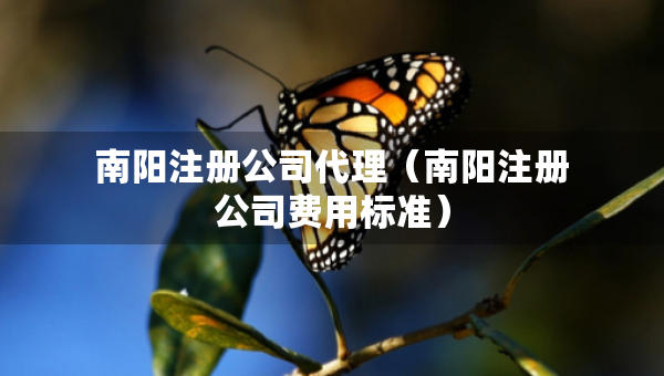 南阳注册公司代理（南阳注册公司费用标准）