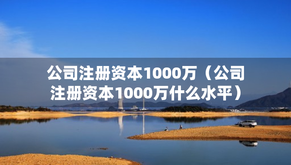 公司注册资本1000万（公司注册资本1000万什么水平）