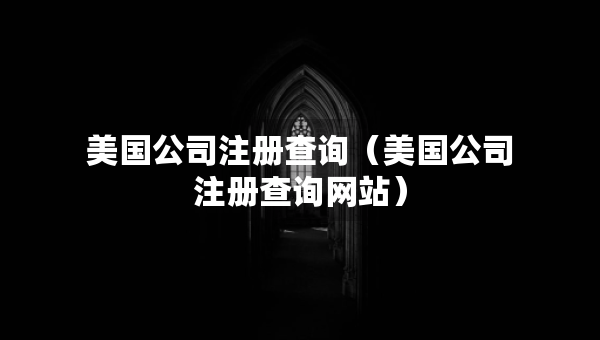 美国公司注册查询（美国公司注册查询网站）