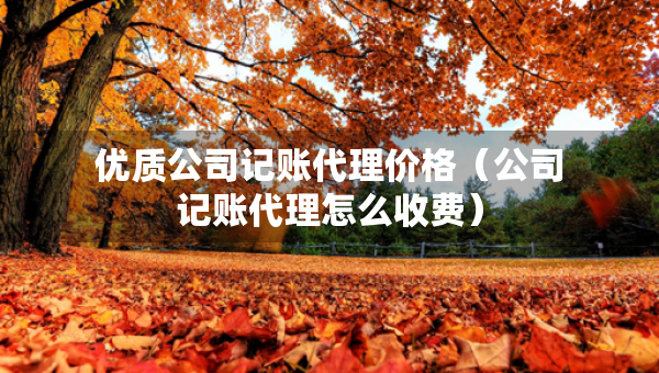 优质公司记账代理价格（公司记账代理怎么收费）