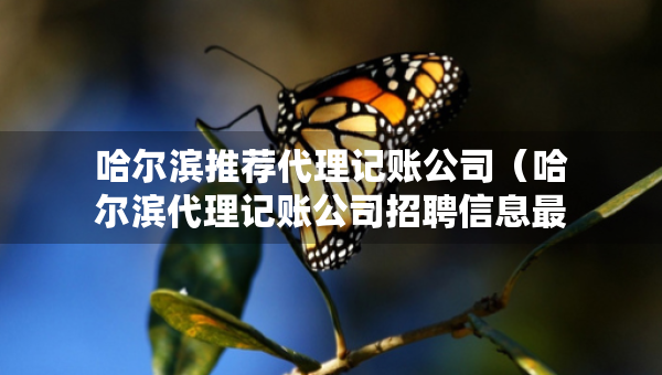 哈尔滨推荐代理记账公司（哈尔滨代理记账公司招聘信息最新）