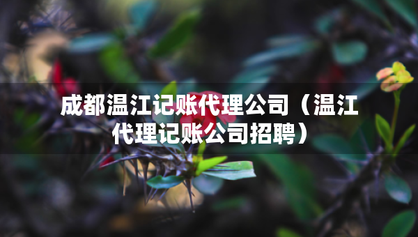 成都温江记账代理公司（温江代理记账公司招聘）