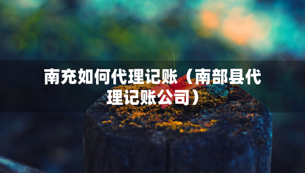 南充如何代理记账（南部县代理记账公司）