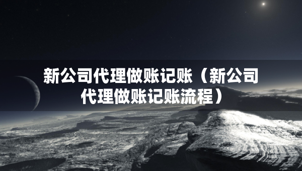 新公司代理做账记账（新公司代理做账记账流程）